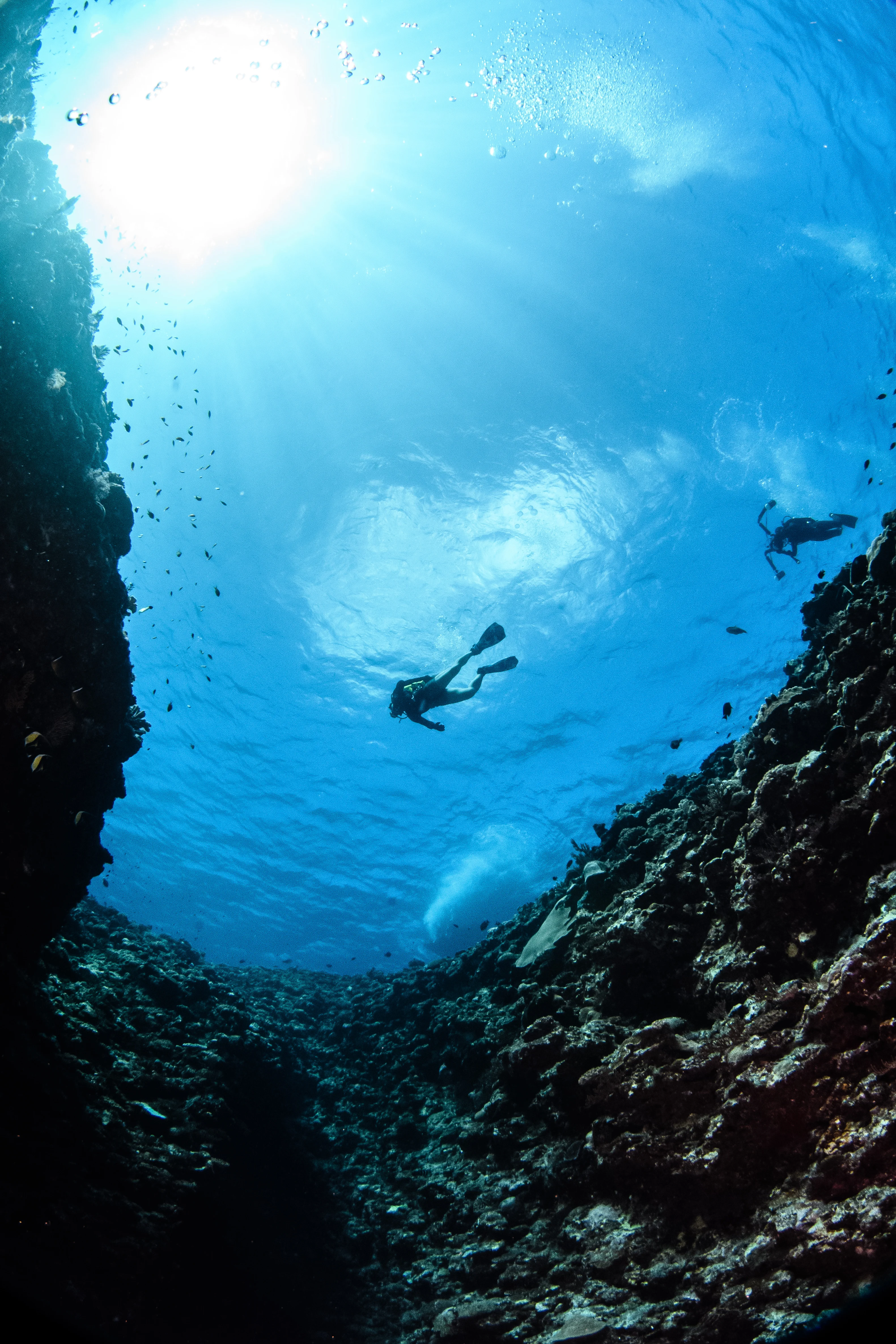 Turistas decidiendo entre buceo y snorkel en Mahahual