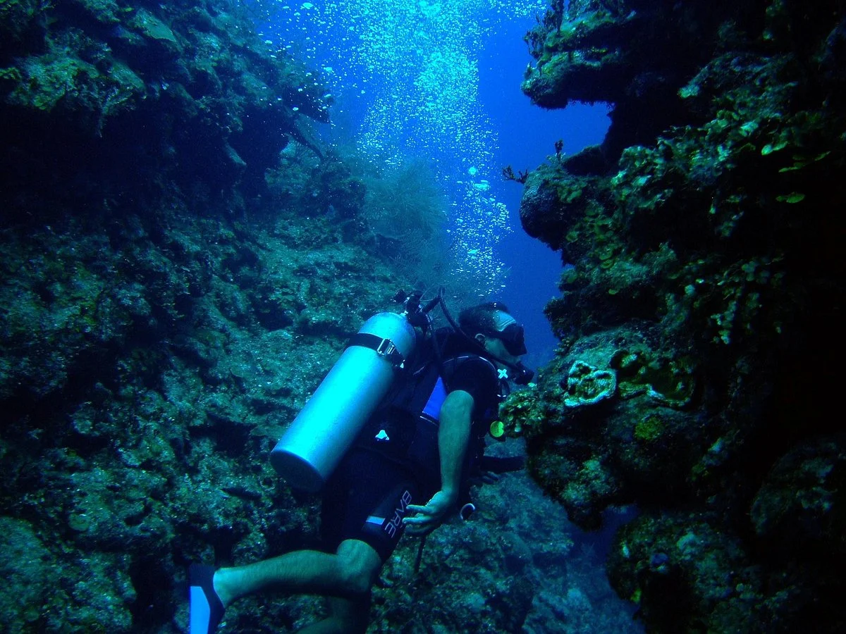 Buzo certificado explorando el arrecife de Mahahual
