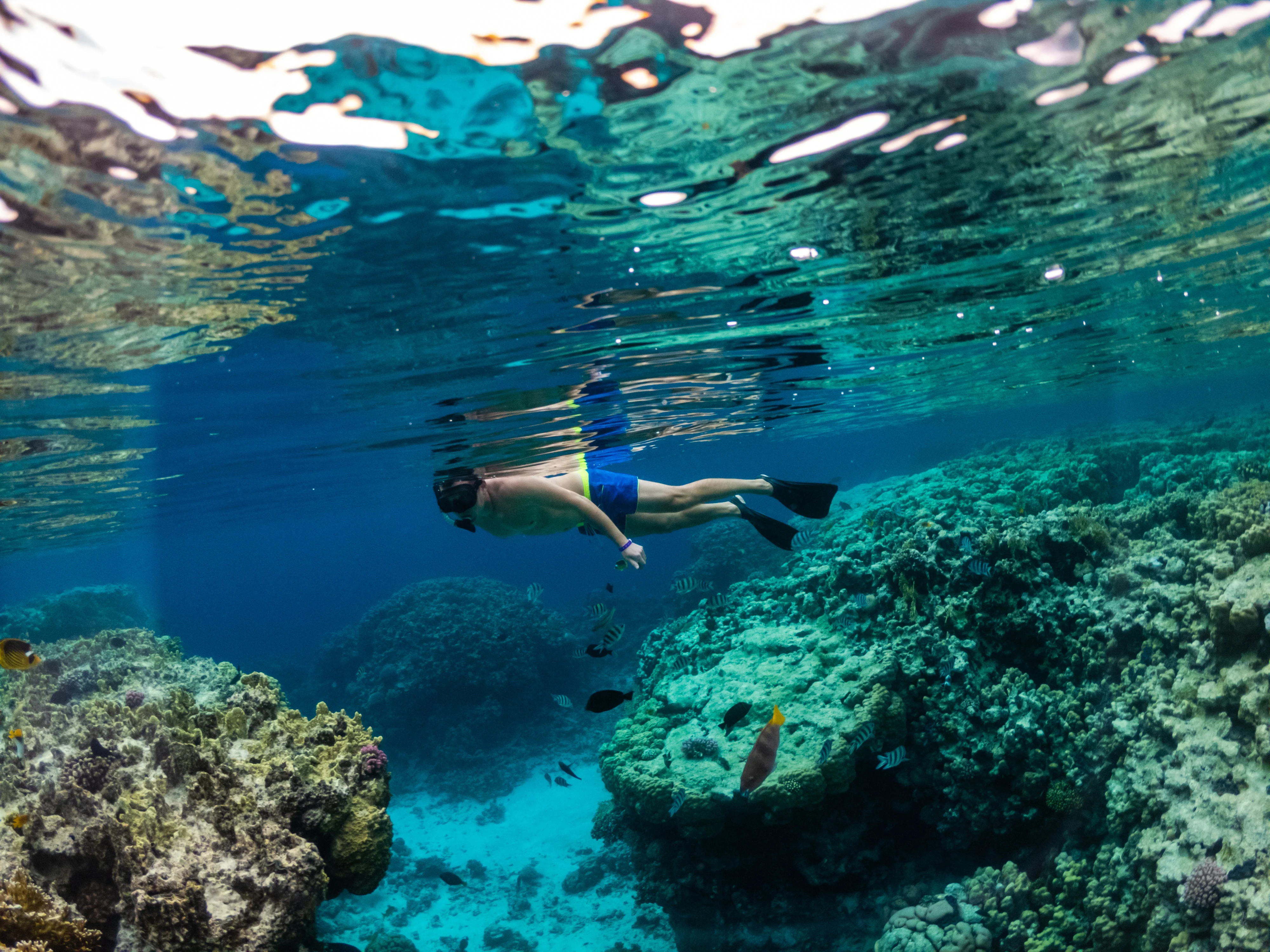 Guía local acompañando a viajeros durante un tour de snorkel en Mahahual