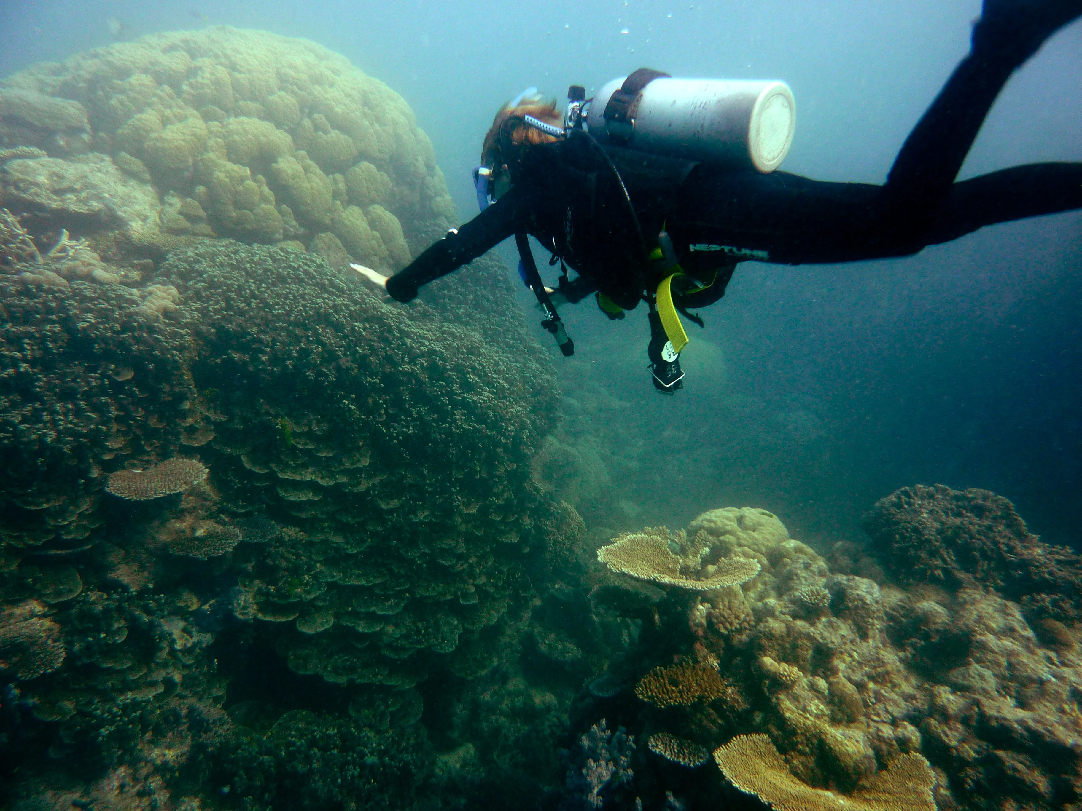 Instructor SDI acompañando a un alumno de buceo en Costa Maya