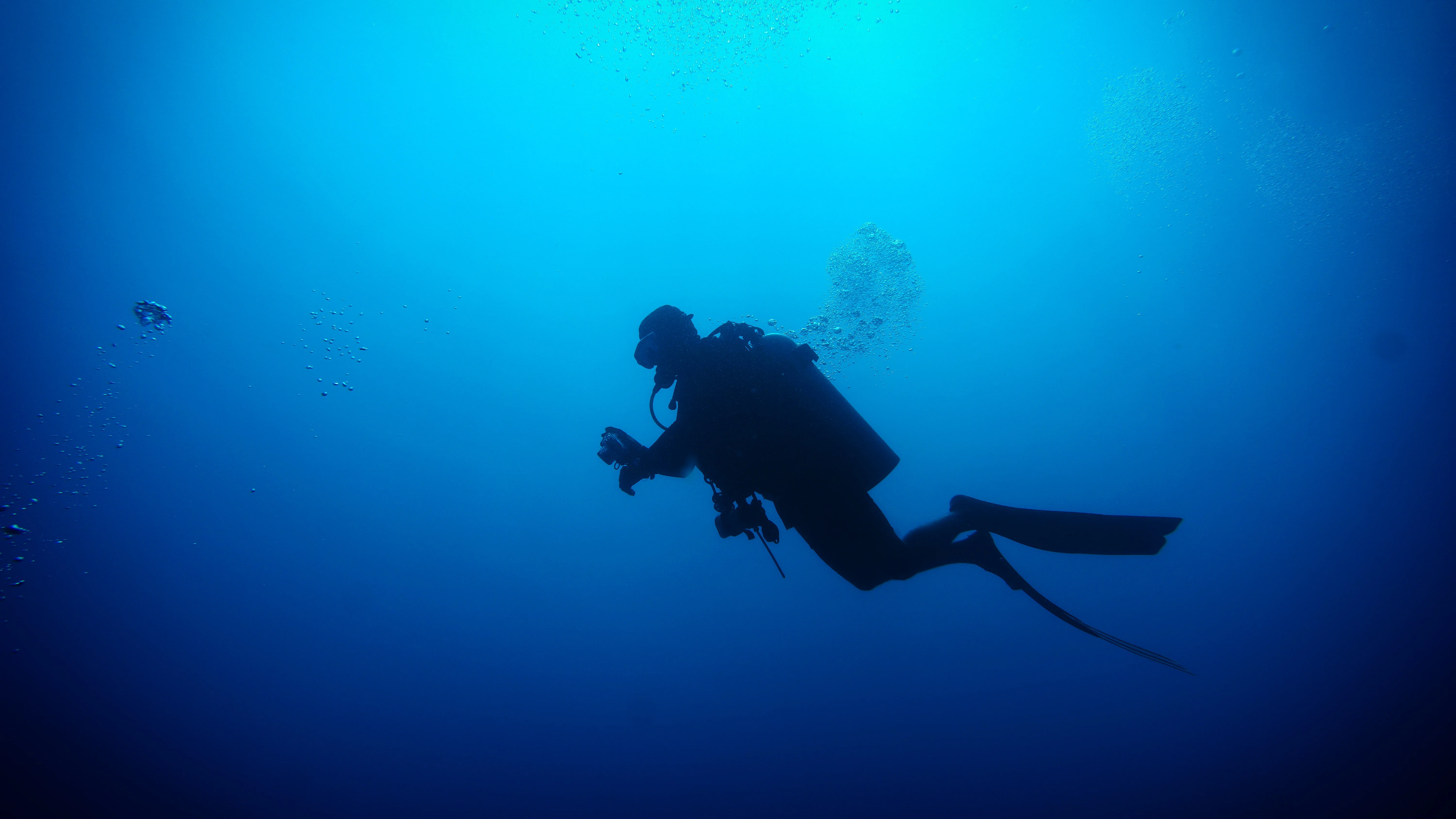 Divemaster Liderando