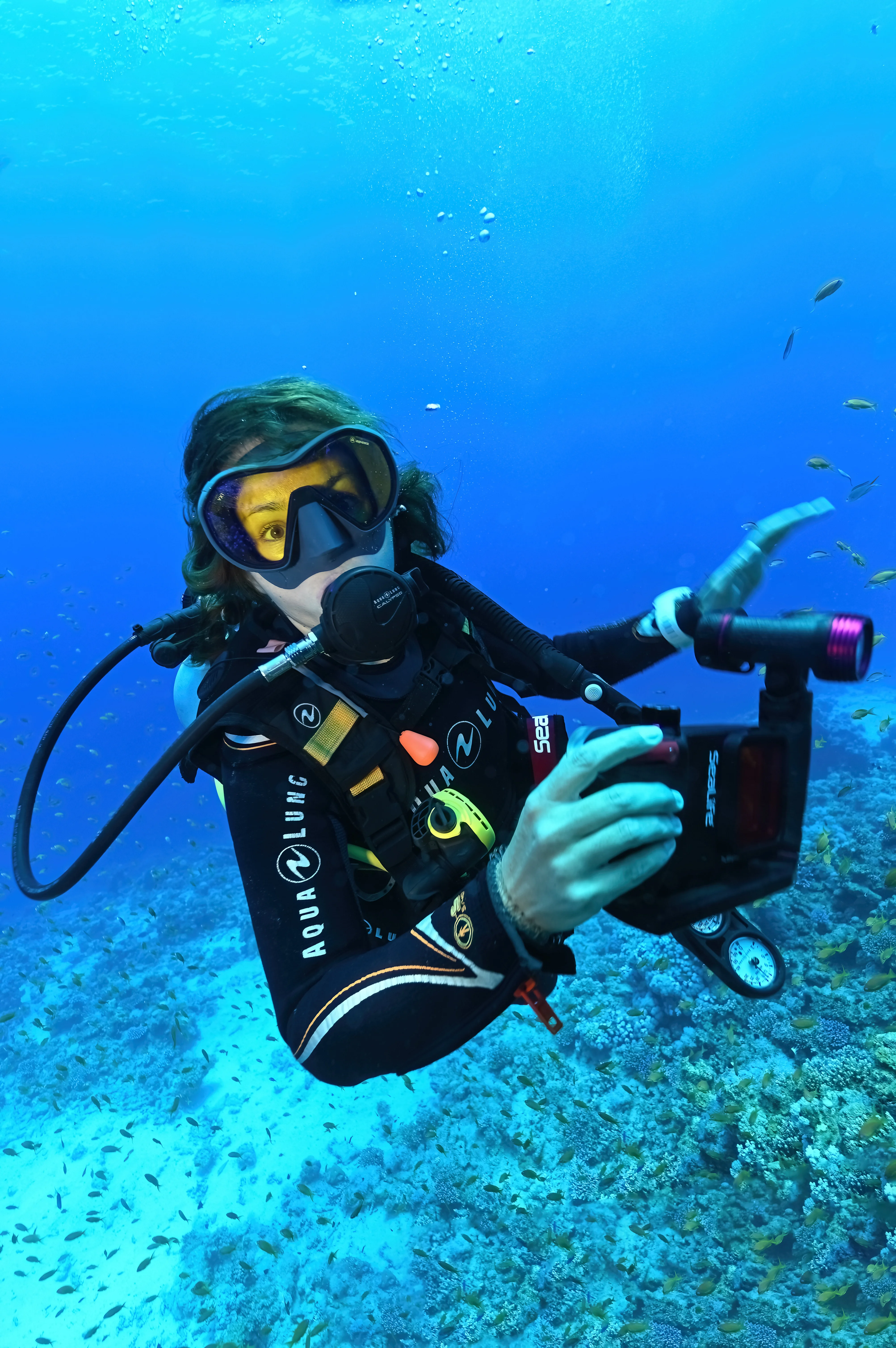 Dive Master acompañando a buzos durante una salida guiada en Mahahual
